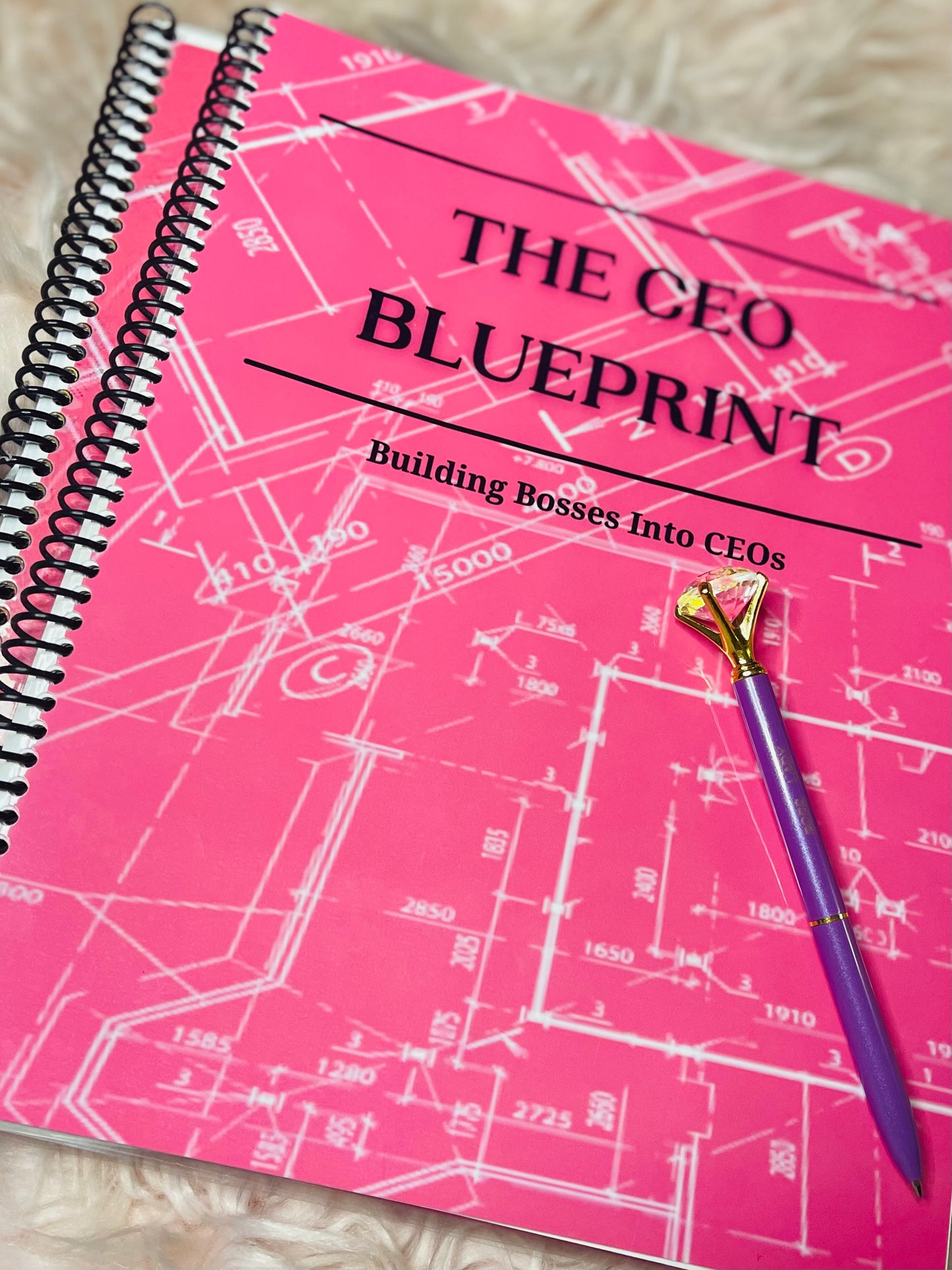 CEO Blueprint Journal