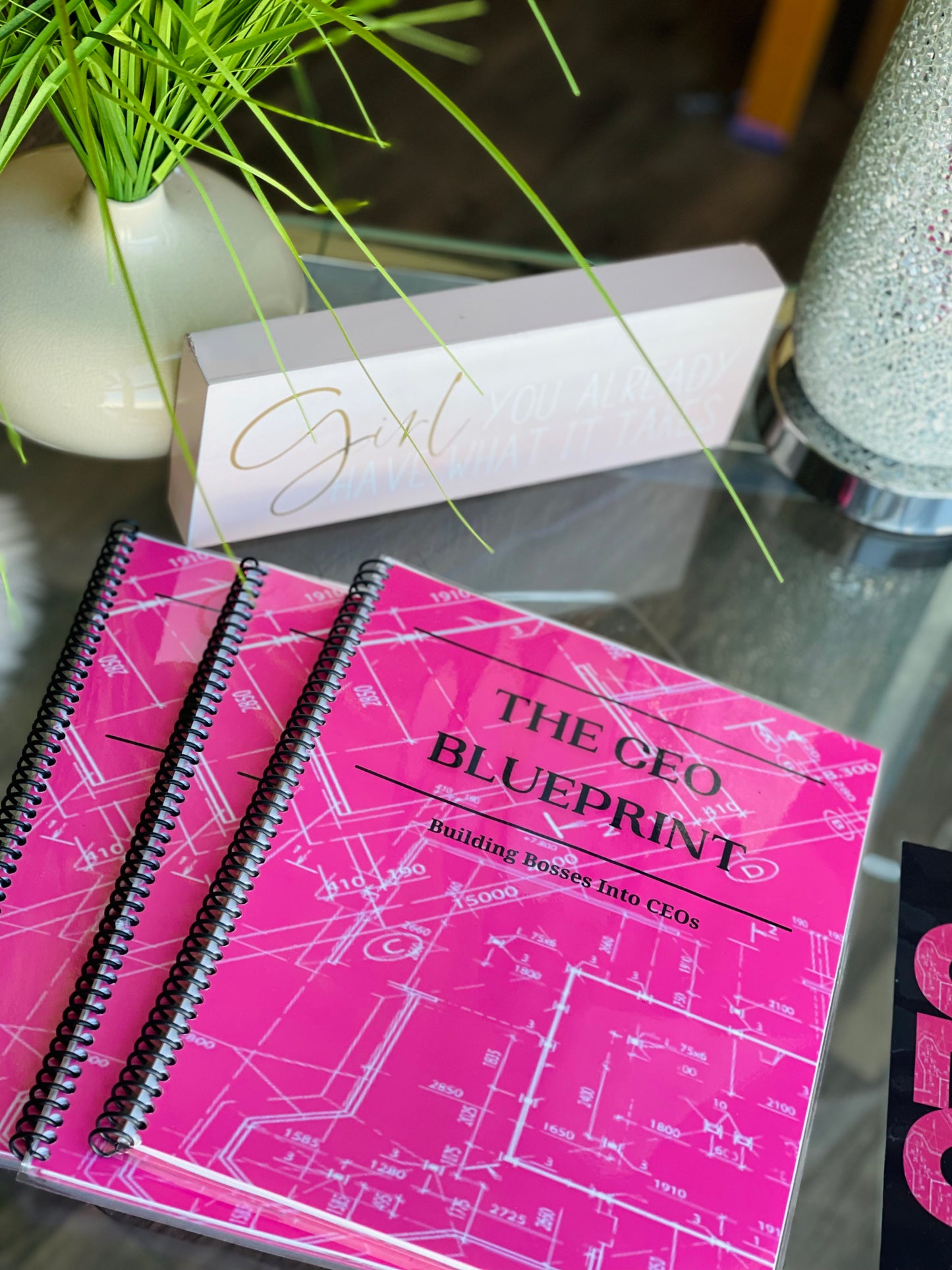 CEO Blueprint Journal